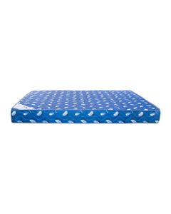 RADIAN QUEEN SIZED CONTINUOUS SPRING MATTRESS - DP-MC221QEN152
