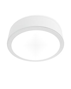 Philips Surface Downlight