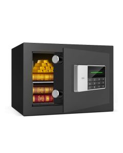 Deli Digital Safe