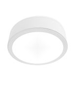 Philips Surface Downlight