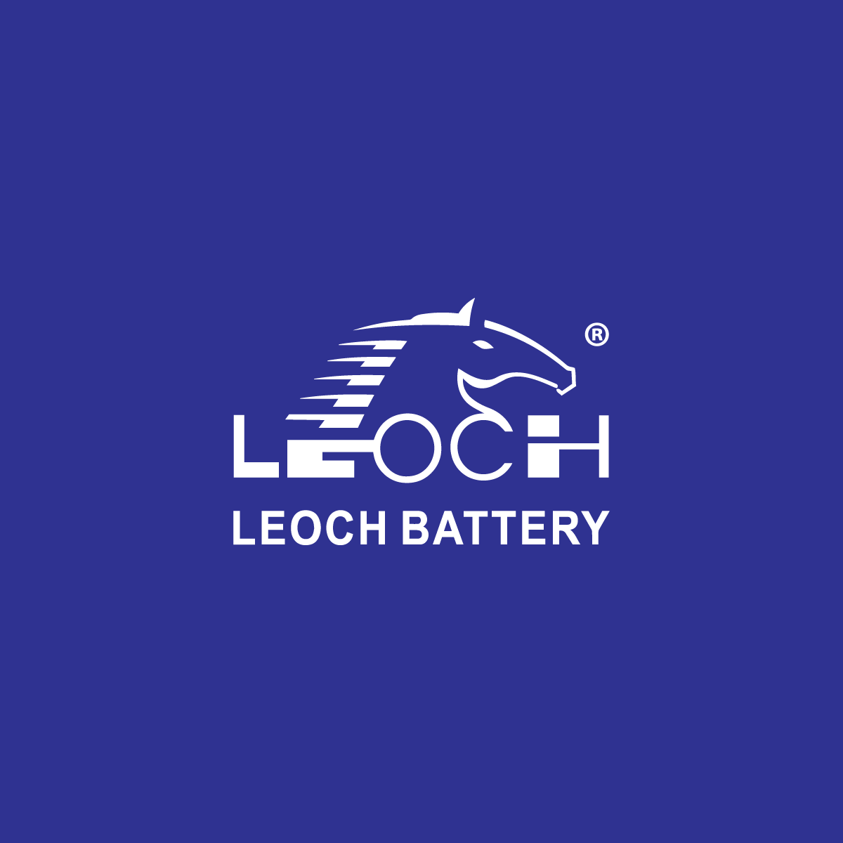 Leoch